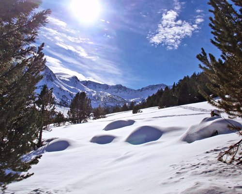 Detail resortu Habitat Calgary